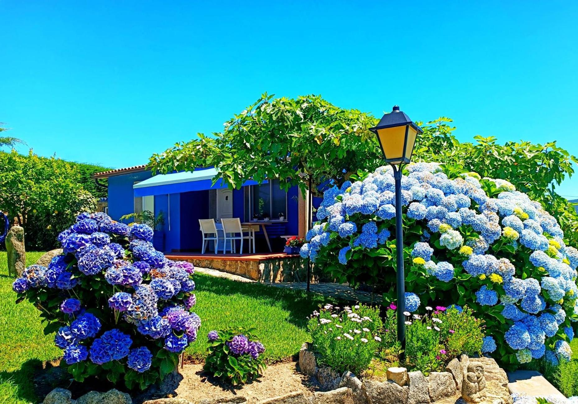 Remanso Azul Villa โมอาญา ภายนอก รูปภาพ